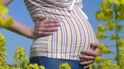 Ako spoznať tehotenstva?
