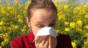 Alergia na peľ