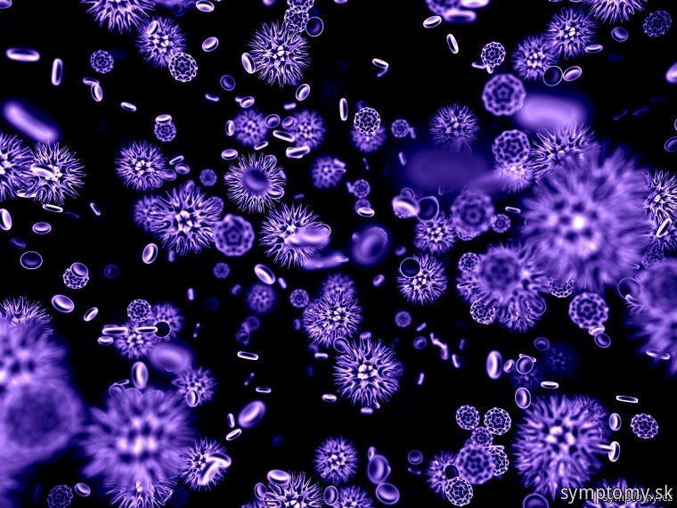 Vírusy a baktérie