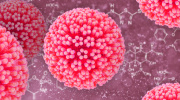 Ľudský papilomavírus (HPV)