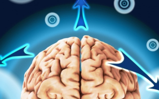 Epilepsia