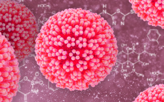 Ľudský papilomavírus (HPV)