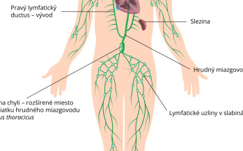 Lymfatický systém