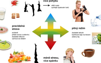 Metabolizmus