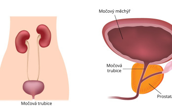 Močová rúra