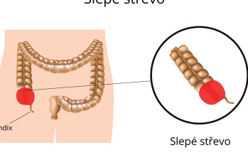 Slepé črevo