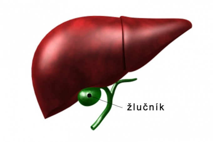 Žlčník