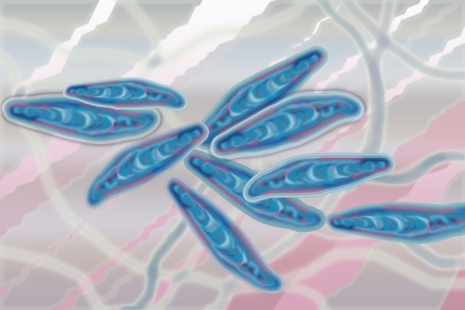 dermatofyty-mikroskopicke-vlaknite-houby.jpg