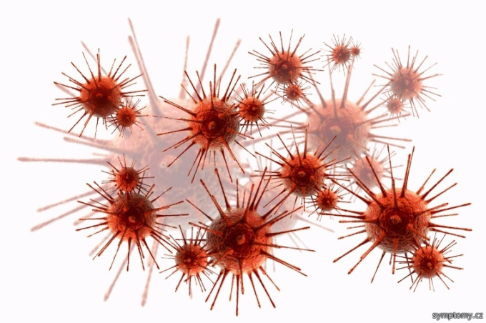 H1n1 Virus