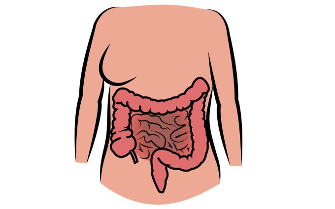 Crohnova choroba