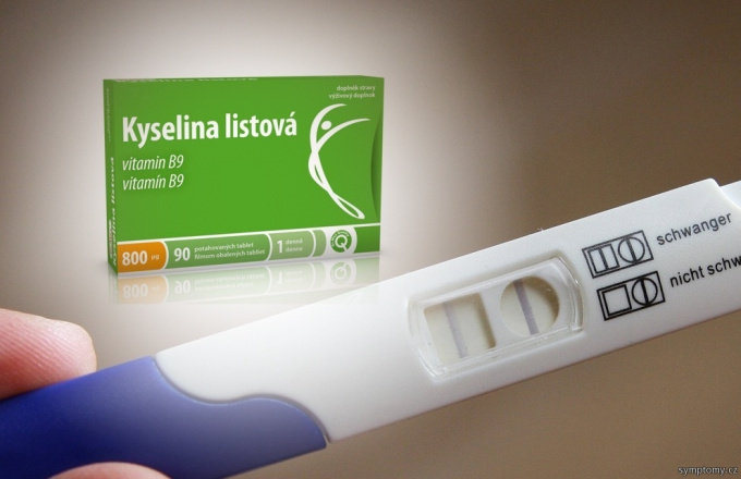 Druhý mesiac tehotenstva