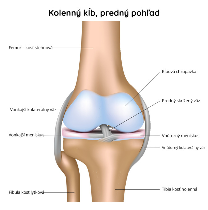 Koleno