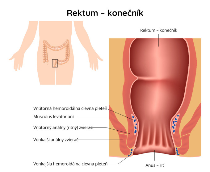 Konečník