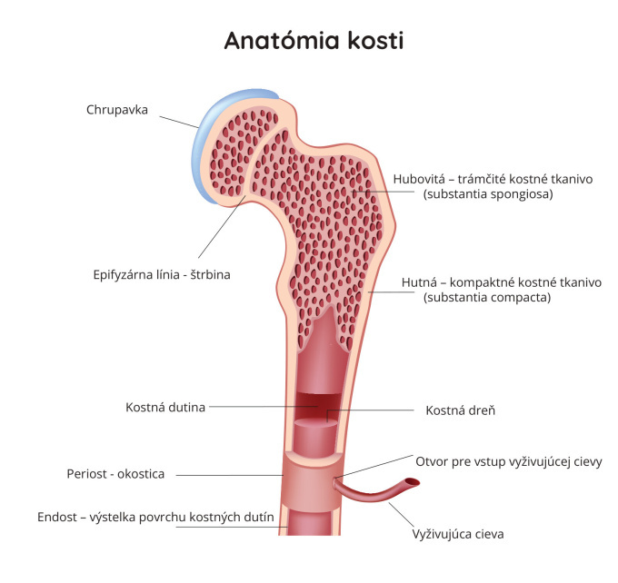 Kosti