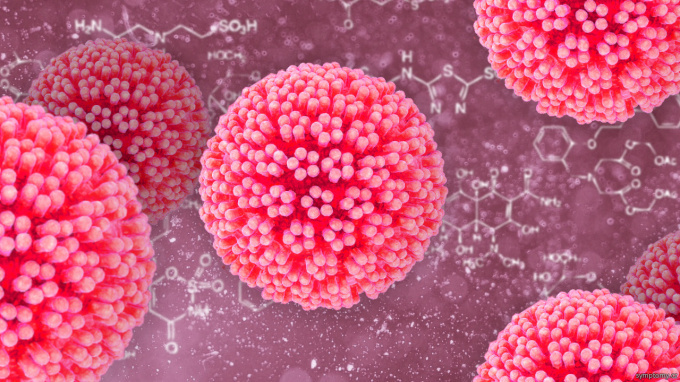 Ĺudský papilomavirús (HPV)