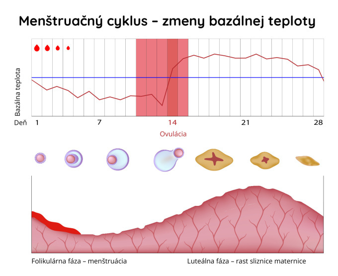 Meranie bazálnej teploty