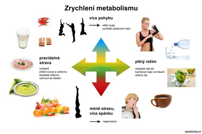 Metabolizmus
