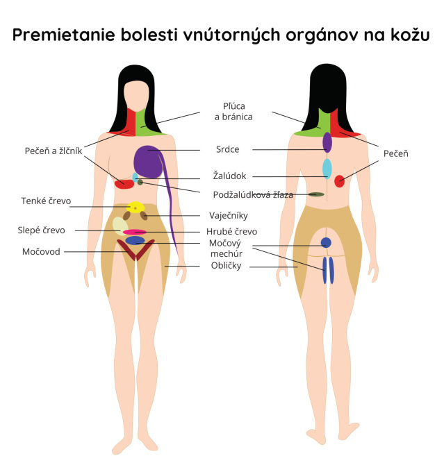 Premietanie bolesti vnútorných orgánov na kožu