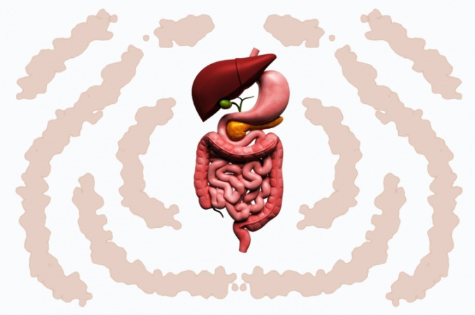 Pomalý metabolizmus