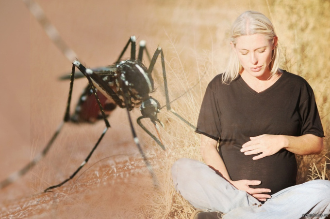 Vírus Zika