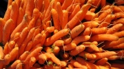 Detoxikácia - mrkvová šťava